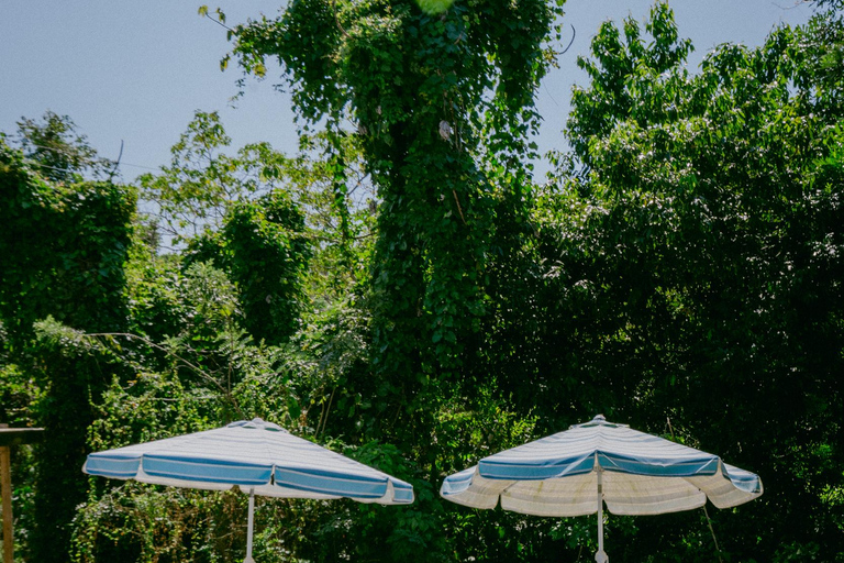 Full-day tour on off-road motorcycles