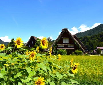 Nagoya: Hida Takayama & World Heritage Shirakawa-go Day Tour