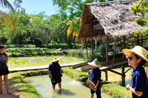 Phuket: 6 Authentic Thai Cultural Hands-On Experiences