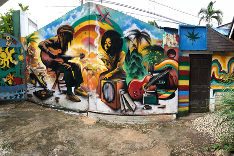 鲍勃·马利九英里之旅（从蒙特哥贝和法尔茅斯出发）鲍勃·马利9英里之旅（从蒙特哥贝和法尔茅斯出发）