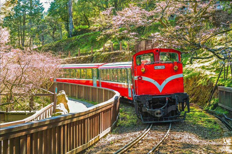 Alishan Forest Day Trip from Taichung, Kaohsiung or Chiayi Join-in Tour from Kaohsiung