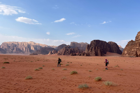 Wadi Rum: 5-Day Levantine Arabic Course in the Desert