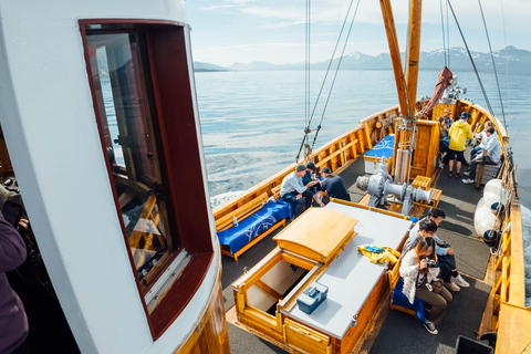 Tromsø: Evening Fishing Cruise with Hermes II