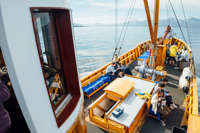 Tromsø: Evening Fishing Cruise with Hermes II