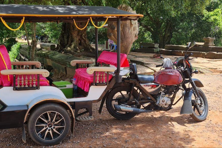 Angkor Temples Tour med en privat Tuk Tuk