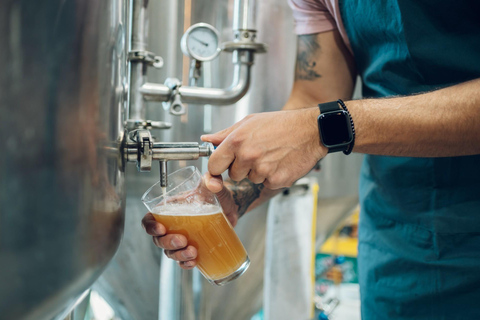 Irish Beer Tour in Dublin with Guinness Storehouse Tickets 3-hour: Tasting of 6 Beers with Snacks