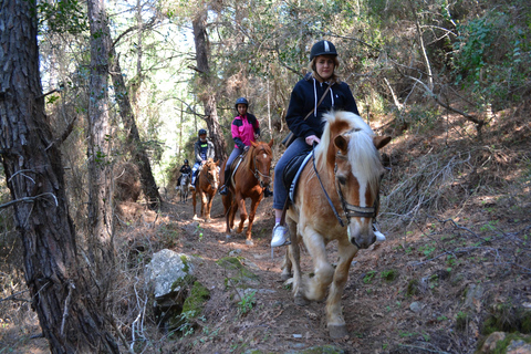 Depuis Antalya, Belek, Kundu : Randonnée à cheval avec transfert à l'hôtel