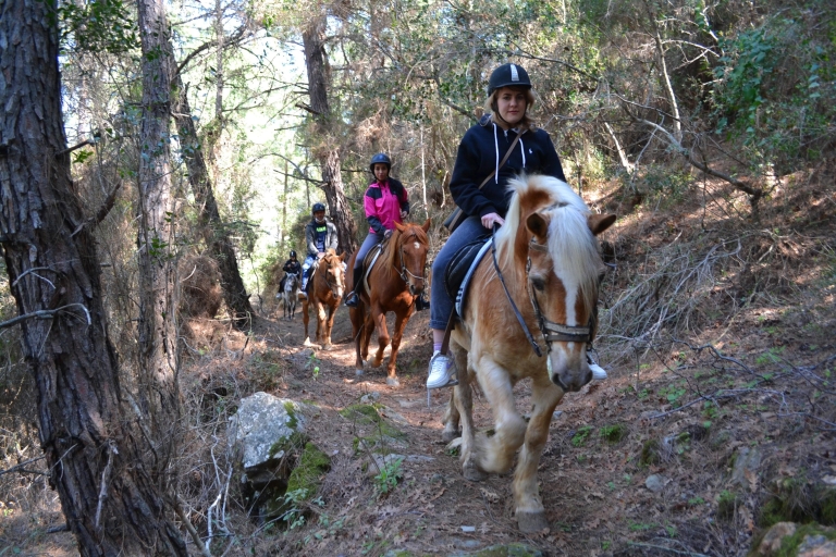 Depuis Antalya, Belek, Kundu : Randonnée à cheval avec transfert à l'hôtel