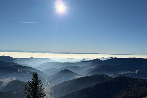 From Basel: Black Forest, Alsace & Colmar Private Day Trip