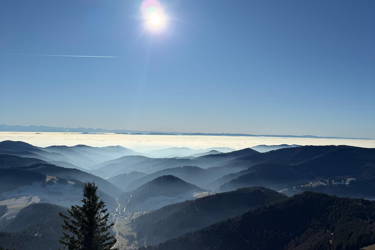 From Basel: Black Forest, Alsace & Colmar Private Day Trip