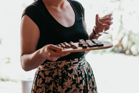 Albi: Tour gastronómico e pelo mercado com degustações e passeio histórico