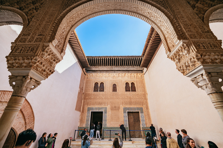 Granada: Alhambra Guided Tour with Nasrid Palaces & Gardens Last-Minute Private Tour - French