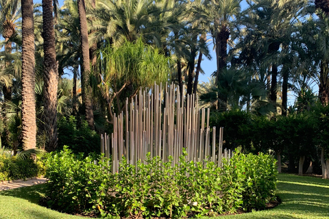 Elche: bilet wstępu do Narodowego Ogrodu Artystycznego Huerto del CuraElche: Bilet wstępu do Narodowego Ogrodu Artystycznego Huerto del Cura