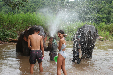 Chiang Mai: Elephant Sanctuary &amp; Jungle Trek w/ WaterfallSanctuary,Trekking,waterfall and bamboo rafting