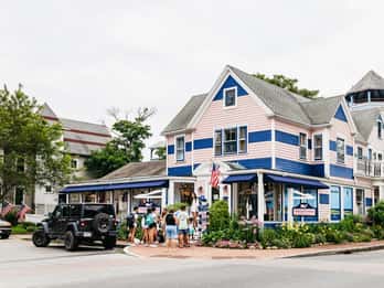 Boston: Escursione di un giorno a Martha's Vineyard con tour opzionale dell'isola