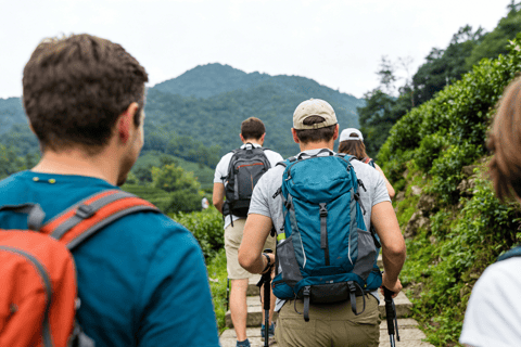 Shanghai: Hangzhou Tea Hills Hike and Micheline Street Eats
