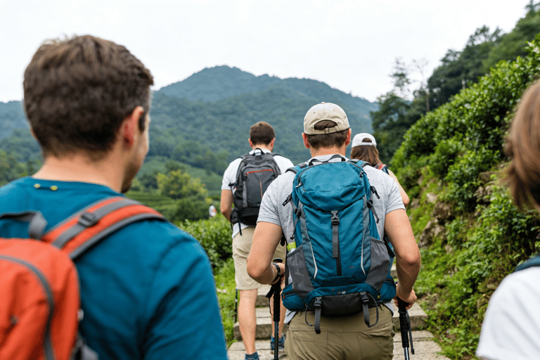 Shanghai: Hangzhou Tea Hills Hike and Micheline Street Eats
