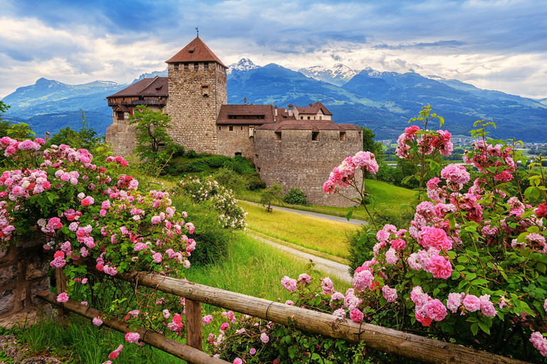 From Lucerne: 4-Country Day Trip by Mercedes-Benz V-Class
