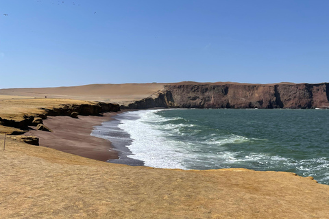RESERVA NACIONAL DE PARACAS Excursión en quad ATV en PerúRESERVA NACIONAL DE PARACAS EN ATV
