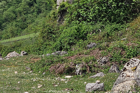 Martvili Canyon, Prometheus Cave & Springs Tour