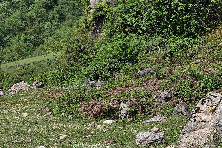 Martvili Canyon, Prometheus Cave & Springs Tour