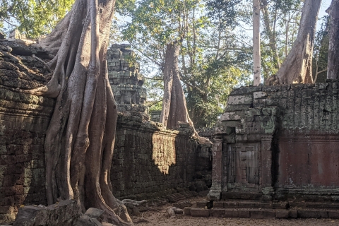 Siem Reap: Private Tour durch Angkor bei SonnenaufgangSiem Reap: Private Tour durch Angkor bei Sonnenaufgang & Hotelabholung