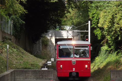 Aventura en transporte por Zúrich: Rueda dentada, Funicular y tour en barcoExcluyendo las subidas más largas