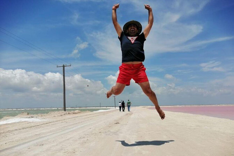 Excursies naar Lagartos, Coloradas en Playa CancúnitoMerida: Excursie naar het strand van Ria Lagartos, Coloradas & Cancunito