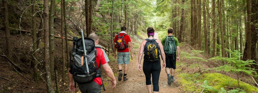 Circuit de 10 jours en Afrique du Sud, de Joburg au Cap