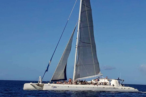 Punta Cana : Excursion de plongée en apnée sur l&#039;île de Catalina avec déjeuner