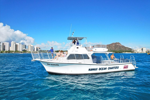 Oahu: Waikiki Turtle Canyon Snorkeling Tour (Small group) Waikiki: Sea Turtle Snorkel (Small group 20 People Max)