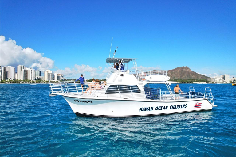Oahu: Waikiki Turtle Canyon Snorkeling Tour (Small group) Waikiki: Sea Turtle Snorkel (Small group 20 People Max)