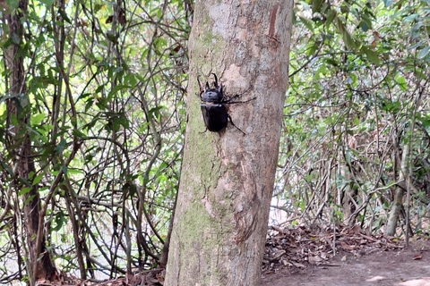 Iquitos: Pilpintuwasi Butterfly Farm and Native Communities