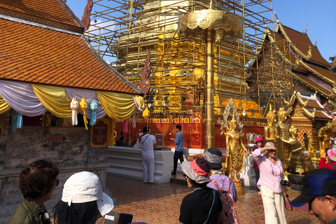 Chiang Mai: Wat Pha Lat &amp; Wat Phra That Doi Suthep-turGruppresa med upphämtning från hotell