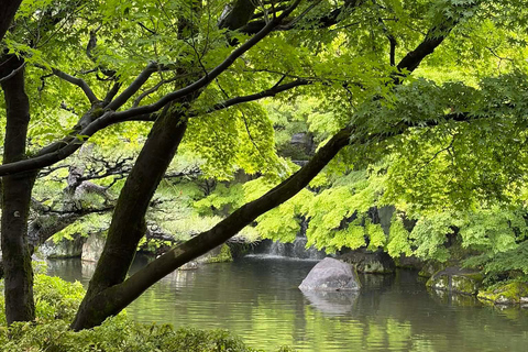 Osaka: Himeji Castle and Kobe Private Guided Day Trip
