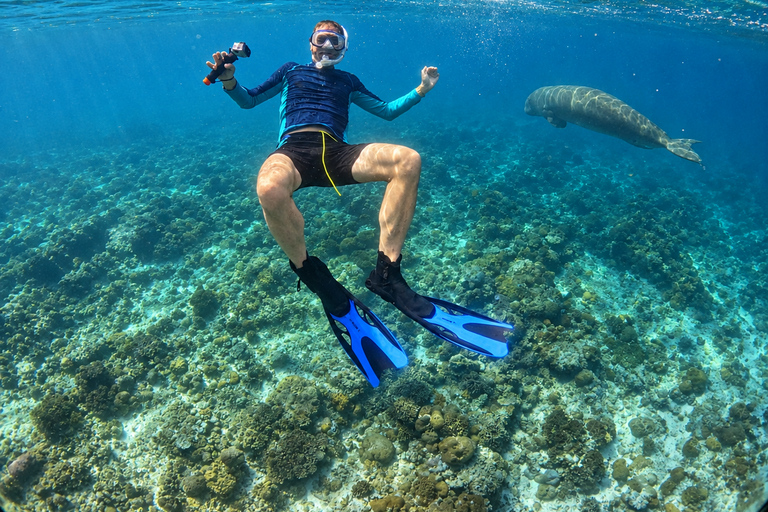 Coron: Dugong and Turtle Watching Tour w/ Lunch & Transfers