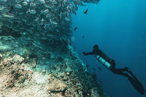 Fethiye: Discover the Underwater World Experience