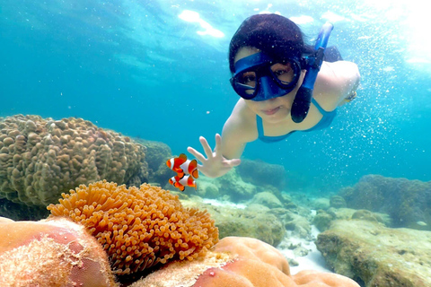 Snorkel &amp; Chill: wycieczka na wyspę Nemo z PattayaNurkowanie z rurką i relaks: wycieczka na wyspę Nemo z Pattaya