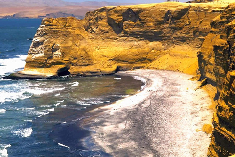 From Lima:Paracas Ballestas Islands and Ica Oasis 1 day Tour