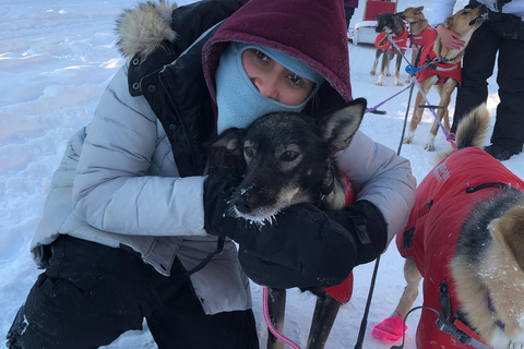 Fairbanks: Dog Sledding and Mushing Experience