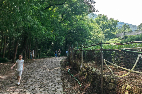 Hangzhou Jiuxi, Shililangdang & Yunqi Day Hiking Tour