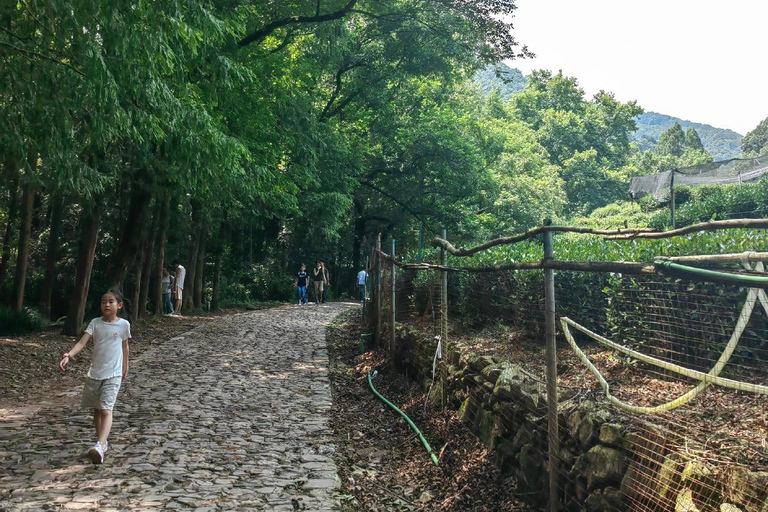 Hangzhou Jiuxi, Shililangdang & Yunqi Day Hiking Tour