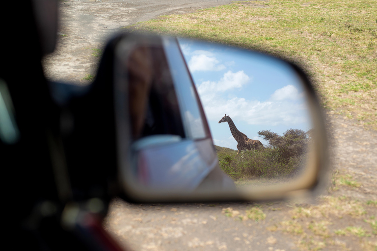 Tarangire Day Safari: Private 4x4 Suzuki Vitara Experience