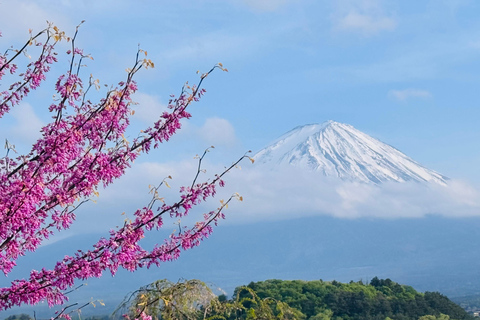 Tokyo: Private Daytrip to Mount Fuji - Fully Customizable Mt Fuji Private Luxury Van Tour (Customizable Experience)