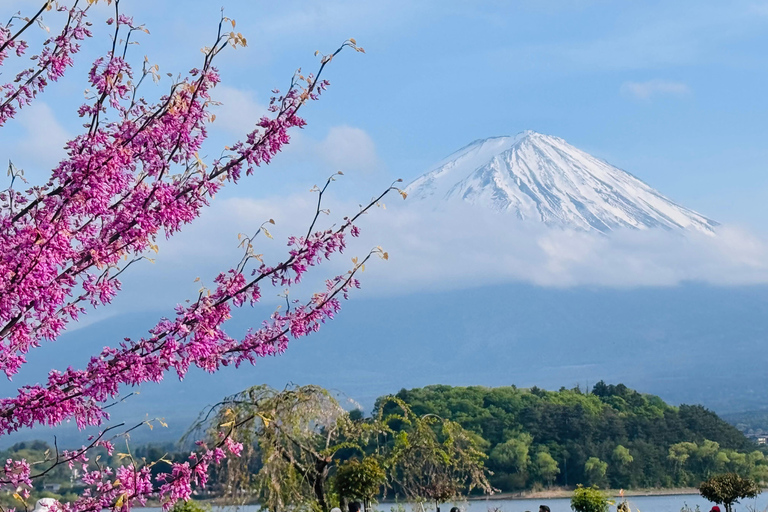Tokyo: Private Daytrip to Mount Fuji - Fully Customizable Mt Fuji Private Luxury Van Tour (Customizable Experience)