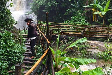 Chiang Mai : Parc national de Doi Inthanon et randonnée Pha Dok Siew