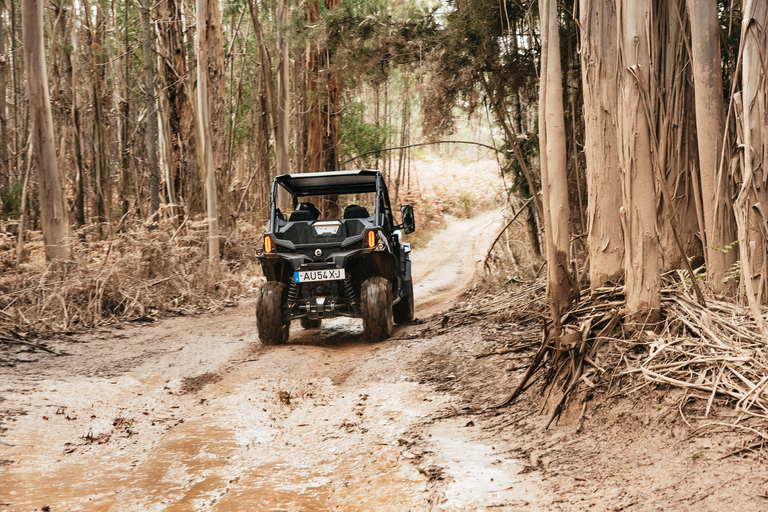 Desde Oporto: aventura en buggy todoterreno