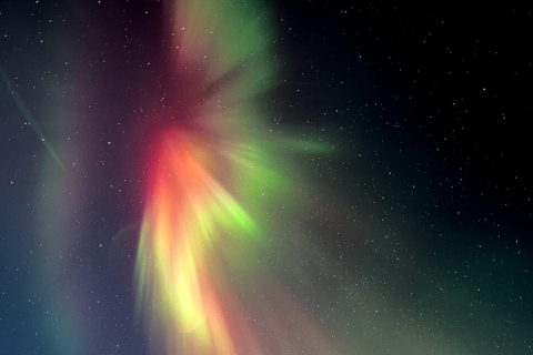 Reykjavik: Small-Group Northern Lights Tour with Pickup