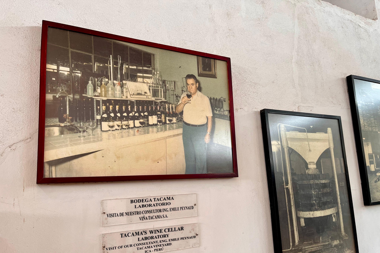 De Ica ou Huacachina: Pisco, vinho e buggy ao pôr do sol