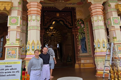 Ella: NineArches Bridge,Mini adam's peak and Waterfalls Tour